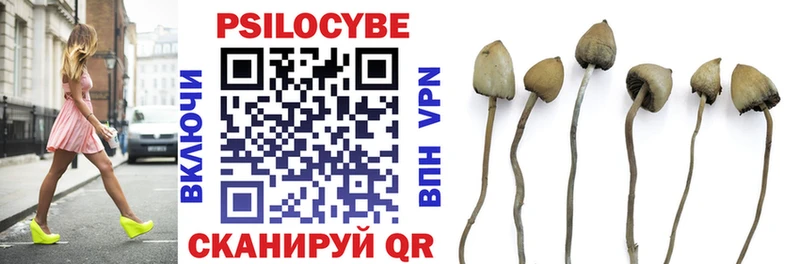 Псилоцибиновые грибы Magic Shrooms  как найти закладки  Катайск 